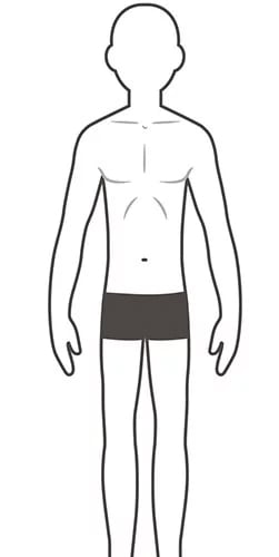 ectomorph body type for suits