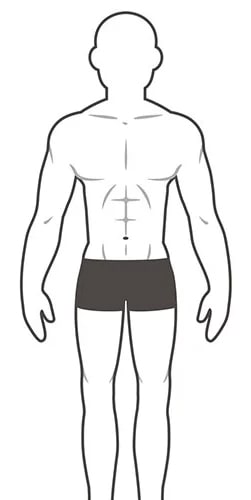 mesomorph body type for suits